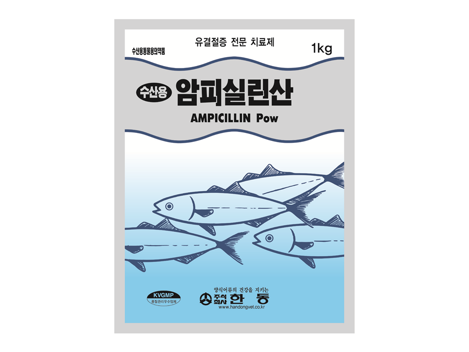 AMPICILLIN Powder