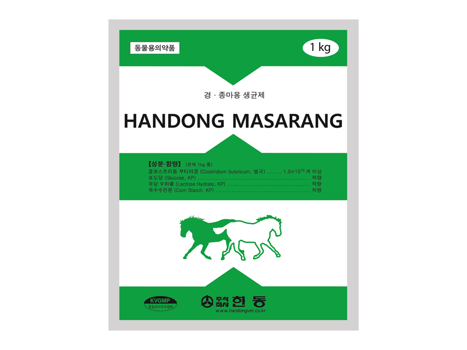 HANDONG MASARANG