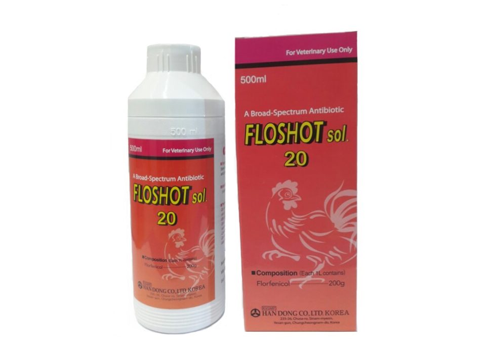 FLOSHOT Sol. 20